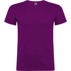 Camiseta Roly Beagle - mr-personaliza
