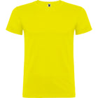 Camiseta Roly Beagle - mr-personaliza
