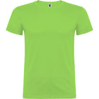 Camiseta Roly Beagle - mr-personaliza