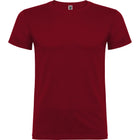 Camiseta Roly Beagle - mr-personaliza